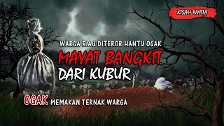 Mayat Bangkit Dari Kubur  Warga Riau Rokan Hilir Diteror Hantu Ogak [upl. by Seve782]