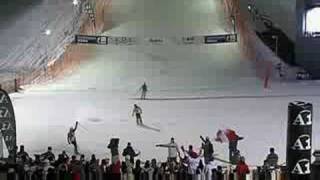 InnsbruckSeefeld 2005 Ski Cross [upl. by Lehcar506]