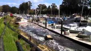 Tsunami hits Santa Cruz Harbor [upl. by Boycey]