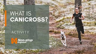 What is canicross Guide to running with your dog [upl. by Cleve]