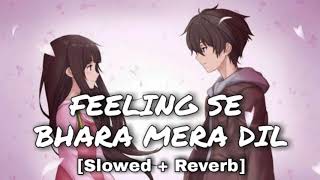 Feeling Se Bhara Mera Dil Slowed and Reverb  Sumit Goswami [upl. by Ardnuahs680]