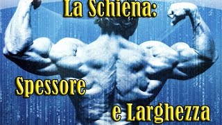 La Schiena Spessore e Larghezza [upl. by Oyr205]