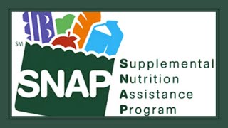 SNAP Food Stamps 101 [upl. by Alba]