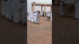 Festival of World Gnawa Music from Khamlia Village Merzouga 🏜️ Errachidia Morocco 🇲🇦 [upl. by Lotte]