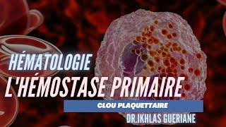 LHÉMOSTASE PRIMAIRE quotCLOU PLAQUETTAIREquot  ❤💚 DrIKHLAS GUERIANE 💚❤ [upl. by Cantlon]