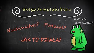 Wstęp do Metabolizmu  Kataliza enzymatyczna działanie enzymów itd [upl. by Nnahsal399]