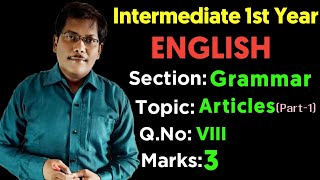 Intermediate 1st Year English Grammar  Articles in English Part1 [upl. by Ocirrej434]