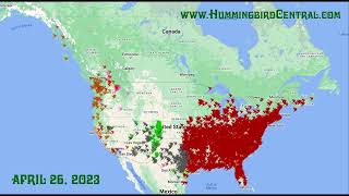 Hummingbird Migration Spring 2023 Animation [upl. by Sou]