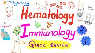 Review of Blood Physiology and the Immune System Immunology and Hematology [upl. by Claudetta]