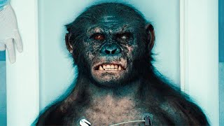 Dawn of the Planet of the Apes 2014 in HINDI dubbed [upl. by Aridni]