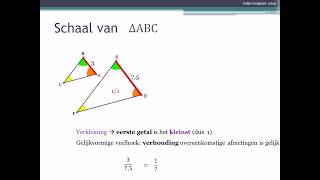 M3 2 Gelijkvormige figuren schaal bepalen [upl. by Esina]