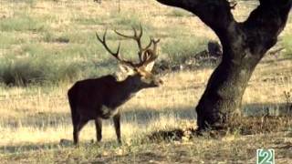 Tesoros del Sur otoñá El otoño en Andalucía [upl. by Ettelra]