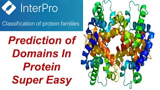 InterPro  How To Know About Domain In Protein Structure amp Their Function in 5 mins  Bioinformatics [upl. by Cull255]