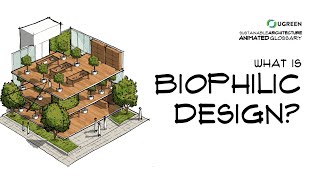 What Is Biophilic Design  Sustainable Architecture Animated Glossary 19 [upl. by Nioe]