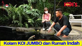 Kolam KOI JUMBO dan Rumah yang Indah [upl. by Yaker]