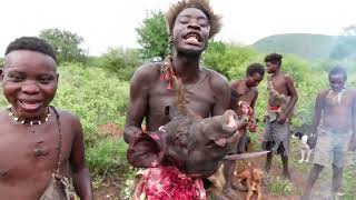 OMG HADZABE HUNTERS HAD A GOOD HUNT TODAY HADZABE TRIBE ORGINAL HUNTERS IN LAKE EYASI KARATU [upl. by Rotberg]