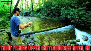 Trout Fishing Georgias Upper Chattahoochee River [upl. by Ail601]