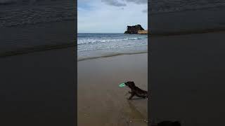 Evening Tide at Portreath Beach Cornwall [upl. by Balfore]