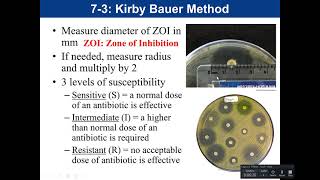 Lab 73 Kirby Bauer Antibiotic Sensitivity Test [upl. by Ettezzil]