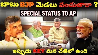 Chandrababu Naidus Strategy to Get Special Status to AP Explained [upl. by Muriah622]