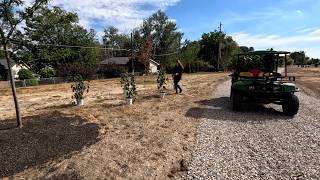 Unloading a Bunch of New Perennials amp Planting Hibiscus 🌺 🌿🌾  Garden Answer [upl. by Foley437]