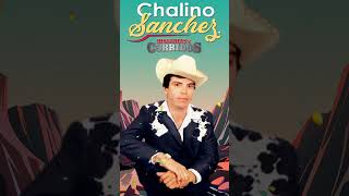 Chalino Sanchez Mix  Puros Corridos Mix  Corridos Perrones [upl. by Gustav880]