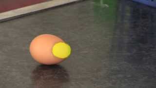 Egg Experiment to Demonstrate Inertia [upl. by Adnylg690]