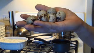 How To Hard Boil Quail Eggs [upl. by Enelaehs]