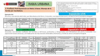 MANUAL HIS ZOONOSIS RABIA  2024  Hiseo vacunación y digitación en el HIS MINSA [upl. by Missi962]