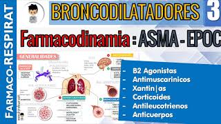 B2 AGONISTAS AntiMUSCARINICOS CORTICOIDES XANTINAS ANTILEUCOTRIENOS Farmacodinamiacinetica 3 [upl. by Otti]