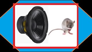 Sound to drive away RATS permanently  sophisticated and intelligent rat REPELLENT Sound [upl. by Iret]