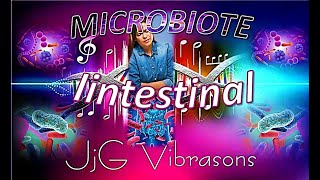 LE MICROBIOTE INTESTINAL ET TA BONNE DIGESTION [upl. by Aketahs]