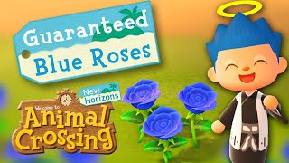 How to Breed Blue Roses New Horizons GUARANTEED CHECK THE PINNED COMMENT [upl. by Raffaello804]