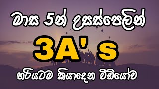 මාස 5කින් A 3ක් Sinhala Study Tips Advanced Level Exam  How to get 3As within 5 months 2022 [upl. by Ardiedak676]