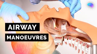 Airway Manoeuvres BLS  HeadTilt amp ChinLift  Jaw Thrust  ABCDE Emergency  OSCE Guide [upl. by Ierna155]