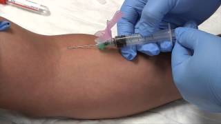 Phlebotomy Syringe Draw Procedure  Blood Collection RxTN [upl. by Trumann]