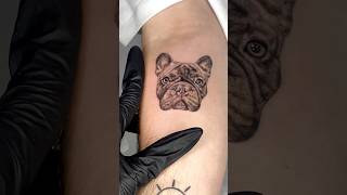 Tatuaggio cane bulldog francese  ETHEREA TATTOO [upl. by Einal]