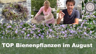 TOP Bienenpflanzen im August für heiße Standorte wunderschöne Dekotipps Natürlicher Türkranz [upl. by Ntsyrk]