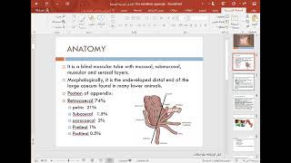 The vermiform appendix شرح محاضره جراحه [upl. by Ahsielat]