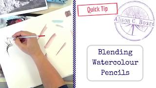 Blending Watercolour Pencils Quick Tip for Beginners [upl. by Chemosh506]