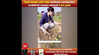 Tanah padat sabut organik  Tingkatkan hasil tanaman untuk kebun anda 10 kali ganda [upl. by Oj532]