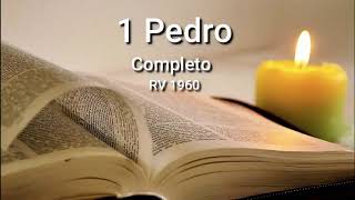 1 PEDRO Completo Biblia Hablada ReinaValera 1960 [upl. by Santana930]