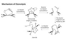 Ozonolysis  An overview in less than 7 minutes [upl. by Eiclud809]