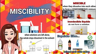 Miscibility of Liquids [upl. by Mcdermott334]