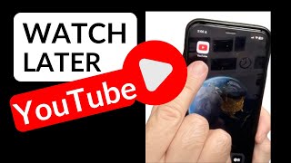 WATCH LATER on YouTube How to Save Videos on YouTube [upl. by Brindle567]