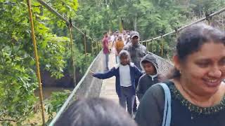 Nisaragadhama Bridge kaveri nisargadhama coorg hangingbridge bridge [upl. by Addiego]