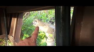 Observation Deck Okeechobee Park Deer Ducks Birds Frogs [upl. by Atilem]