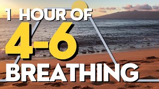 46 Breathing for Stress Inhale 4 Exhale 6 [upl. by Lenahc175]