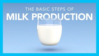 The basic steps of milk production [upl. by Josiah]