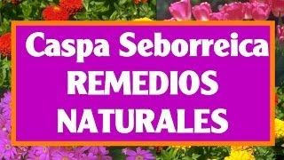 Síntomas de la Dermatitis Seborréica Causas Tratamientos y Remedios [upl. by Troth]